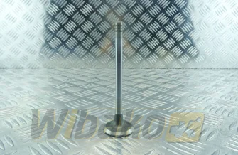 Exhaust valve TRW BF4M2012 / BF6M2012 22323