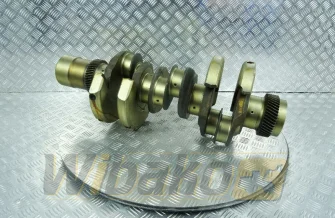 Crankshaft STD BF Original 20050510156
