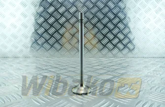 Inlet valve TRW D7 / 2013 22316