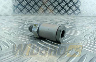 Overflow valve Bosch 1110010020