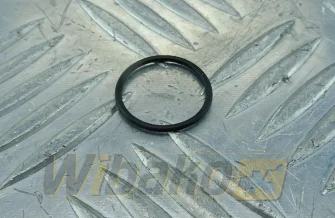 Injector O-ring wbk 7381843
