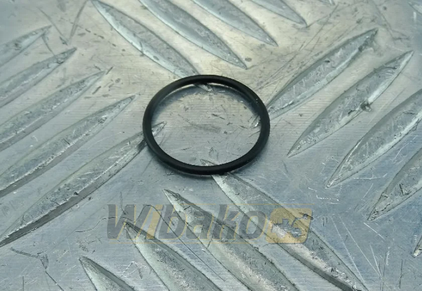 Injector O-ring wbk 7381843 – new