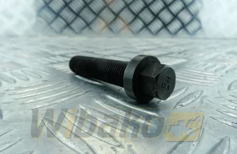 Connecting rod screw BF Original TCD2015 20060541340