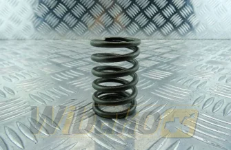 Valve spring IN,EX wbk 9267171