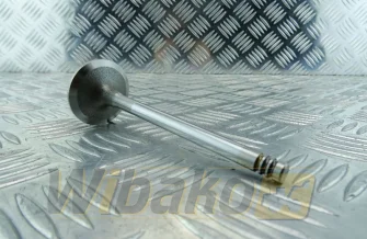 Inlet valve TRW BF4M2012 / BF6M2012 22302