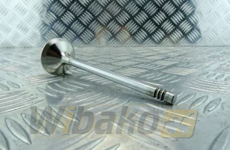 Exhaust valve TRW 1015 / 2015 22210