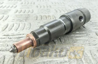 Injector Delphi A0060176121