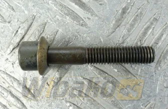 Injector clamp Screw ISO4762 M10x60 10.9 FLZN Liebherr 11320346