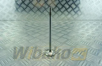 Exhaust valve TRW 22317
