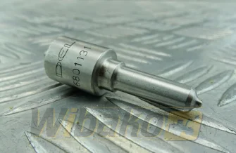 Injector nozzle Delphi 6801131