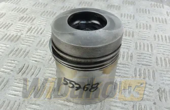 Engine piston Deutz 04231966