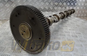 Camshaft for engine Deutz TCD2013 L06 2V 04285516