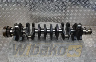 Crankshaft for engine Deutz BF6M1013 04209125R