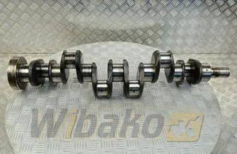 Crankshaft Genmot 111612117
