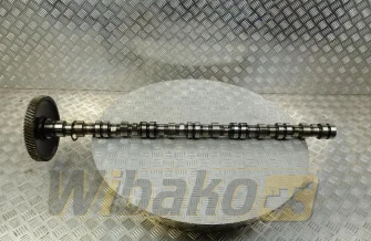 Camshaft Cummins 3000850