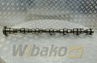 Camshaft Cummins 4893202