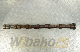 Camshaft Iveco 4896421