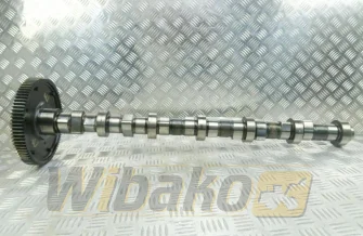 Camshaft for engine Deutz TCD2012 L06 2V 04511878