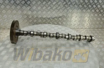Camshaft for engine Deutz BF6M2012 04502768