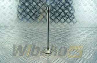 Exhaust valve TRW 22313
