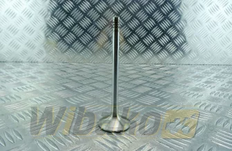 Exhaust valve TRW 22311