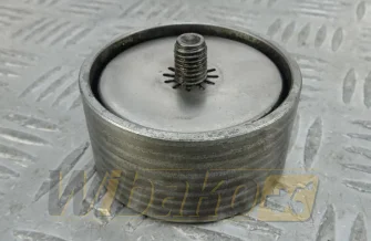 Intermediate idler roller Iveco 504065878
