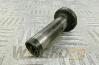 Tappet Iveco 4895180