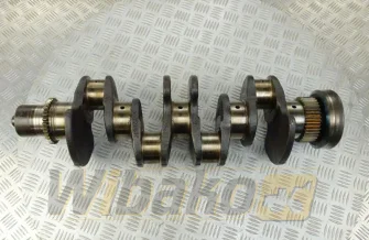 Crankshaft Cummins 5289839
