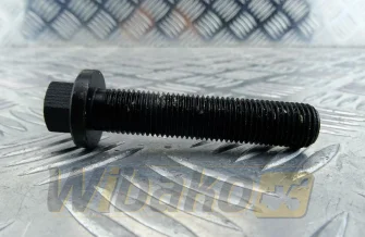Connecting rod screw wbk 9174981