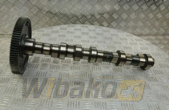 Camshaft for engine Deutz TCD2012 L04 2V 04511876