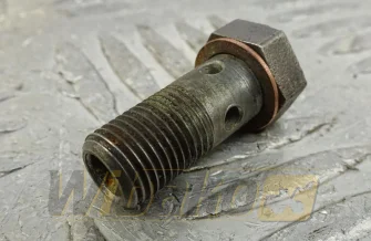 Overflow screw M10x25 Deutz 01149325