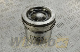 Engine piston Cummins 107011.01