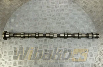 Camshaft for engine Cummins QSB6.7 3979506