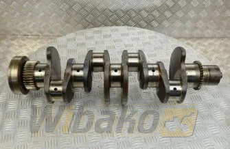 Crankshaft Cummins 5289840