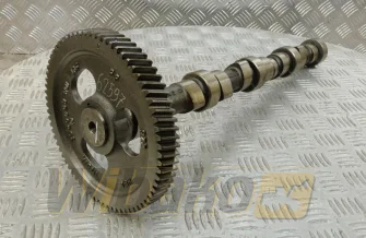 Camshaft for engine Cummins 3.9 3929885