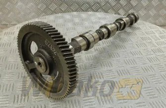 Camshaft for engine Cummins 3.9 3929885