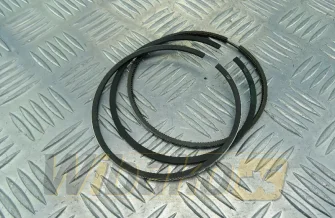 Piston rings STD wbk 4955251