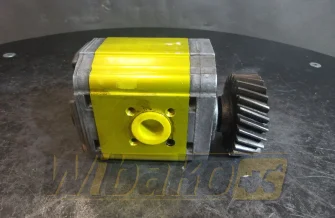 Gear pump Vivolo XV2P-S/A 