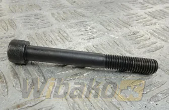 Valve lever screw ISO4762 M12X100 10.9 Liebherr 4043006