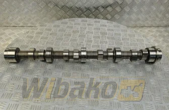 Camshaft Liebherr 10125742