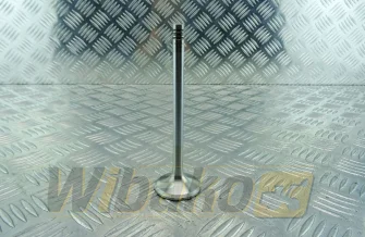 Exhaust valve TRW 22220