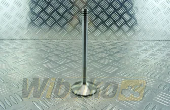 Inlet valve TRW 22221