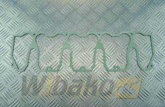 Valve cover gasket kryngielitowa Victor Reinz 71-35969-00