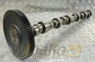 Camshaft for engine Deutz BF6M1012 04255994