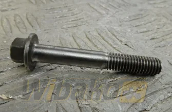 Lubrication nozzle screw M8x1.25x55 Cummins 3909025