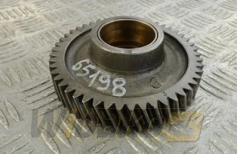 Intermediate gear Z=49 Iveco 98435129