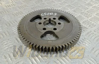 Timing gear Cummins 4896381