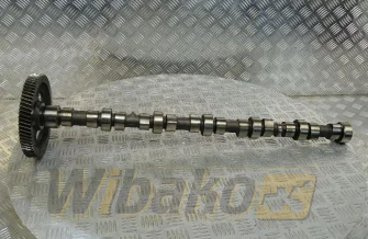 Camshaft for engine Cummins 5.9 3929886