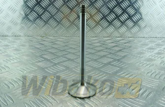 Inlet valve TRW 22314