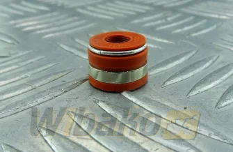 Valve seal wbk 3921640